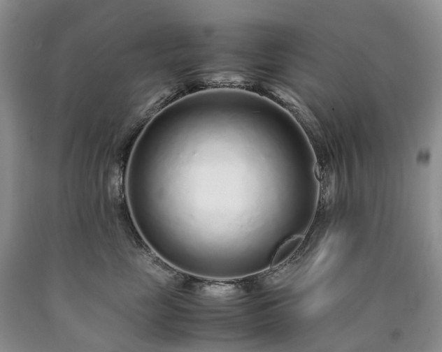 X0000090470669200707201355