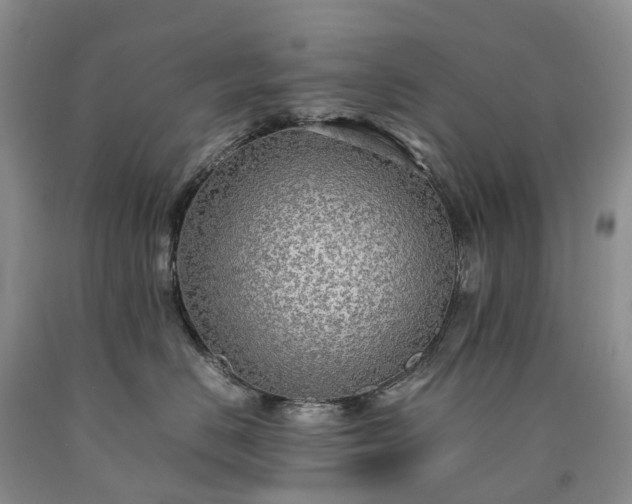 X0000090470670200707201355