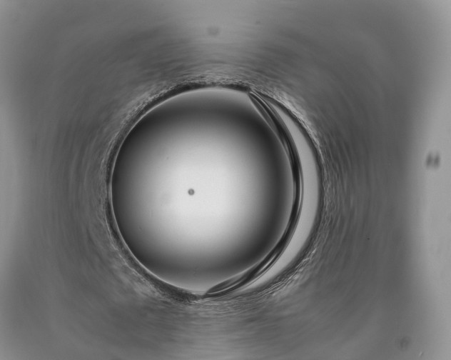 X0000090470673200707201355