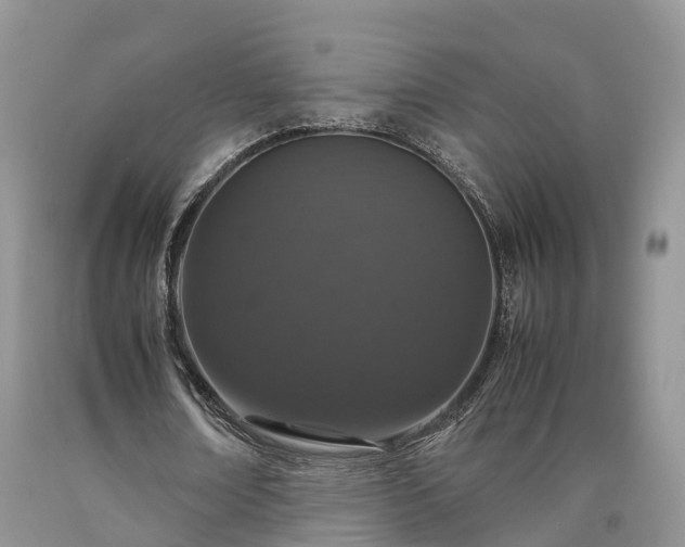 X0000090470674200707201355