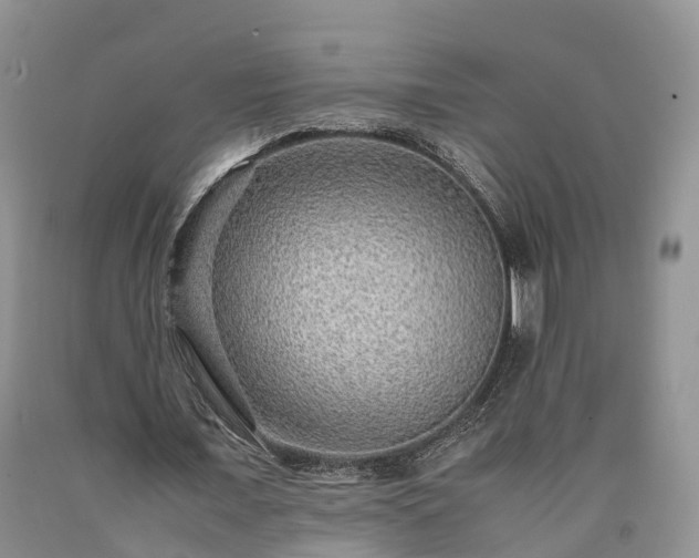 X0000090470675200707201355