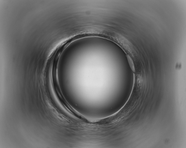 X0000090470676200707201355