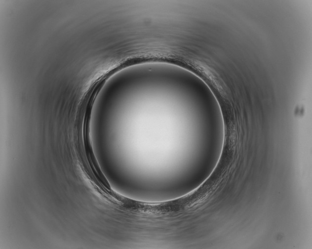 X0000090470677200707201355