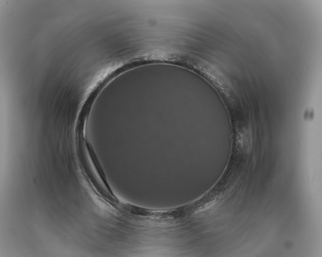 X0000090470678200707201355