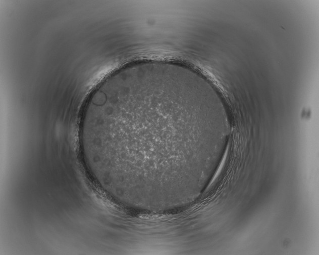 X0000090470679200707201355