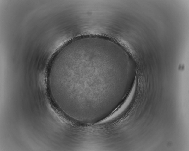 X0000090470680200707201355