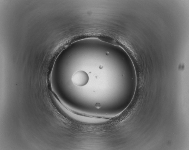 X0000090470681200707201355