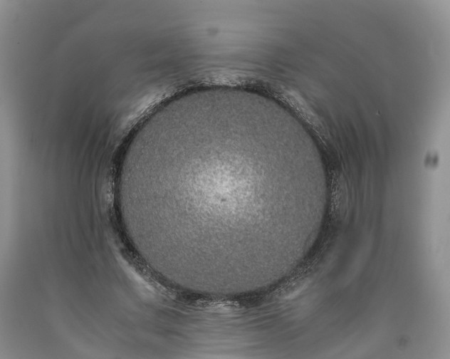 X0000090470683200707201355