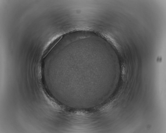 X0000090470684200707201355