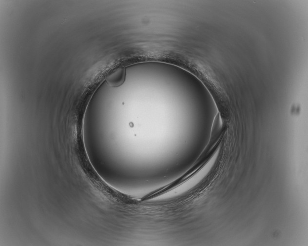 X0000090470685200707201355