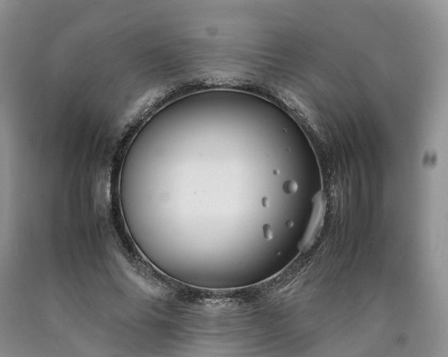 X0000090470686200707201355