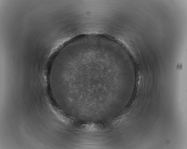 X0000090470688200707201355