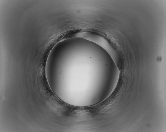 X0000090470689200707201354