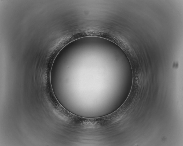 X0000090470690200707201354
