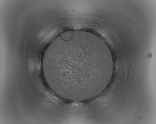 X0000090470691200707201354