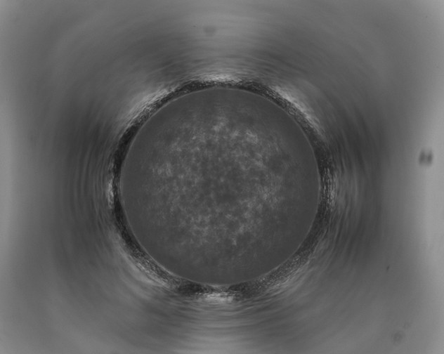 X0000090470692200707201354