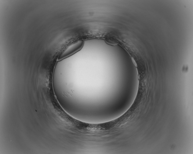 X0000090470693200707201354