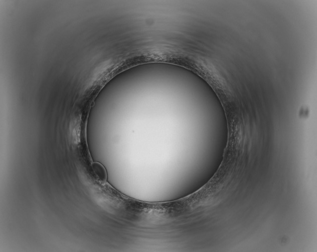 X0000090470694200707201354
