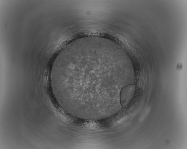 X0000090470695200707201354