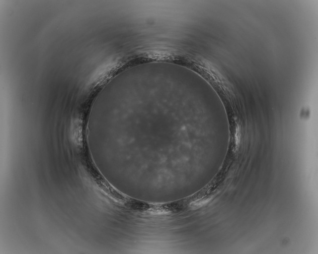 X0000090470696200707201354