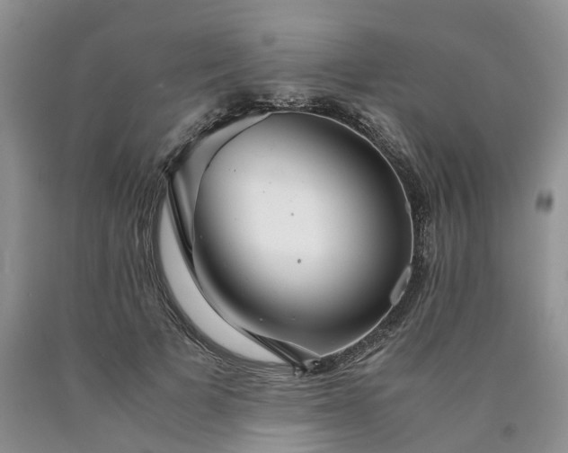 X0000090470697200707201354