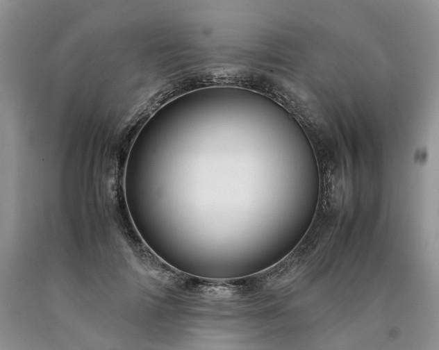 X0000090470698200707201354