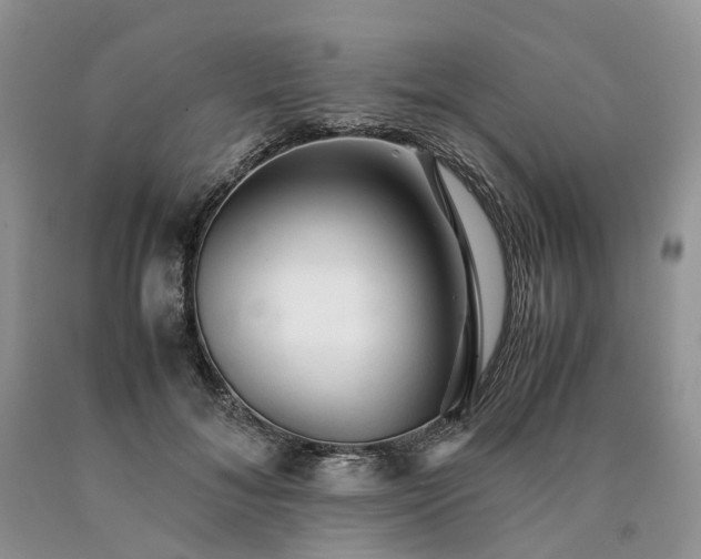 X0000090470700200707201354