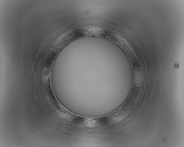 X0000090470701200707201354