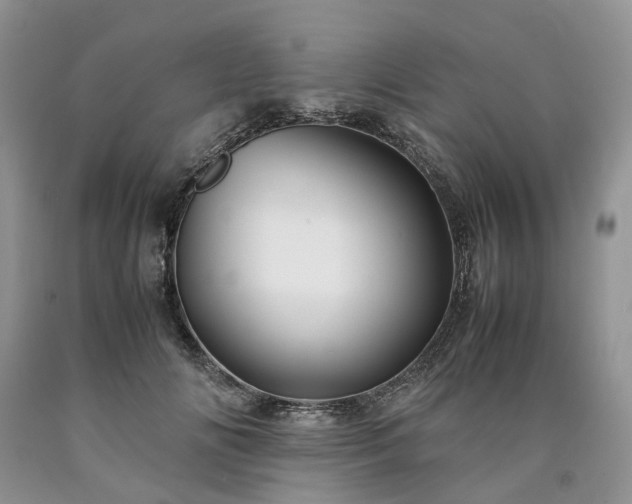 X0000090470702200707201354