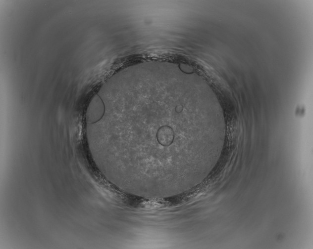 X0000090470703200707201354