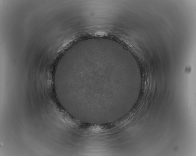 X0000090470704200707201354