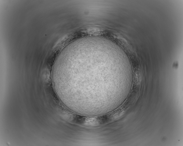 X0000090470705200707201354
