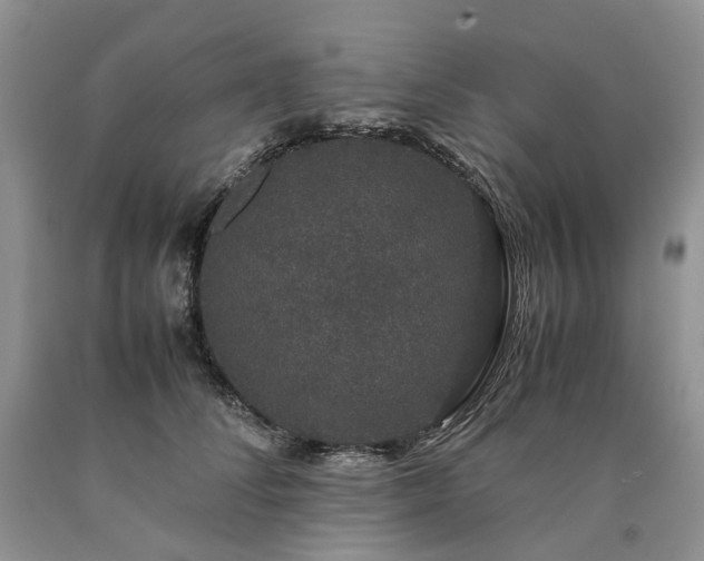 X0000090470708200707201354