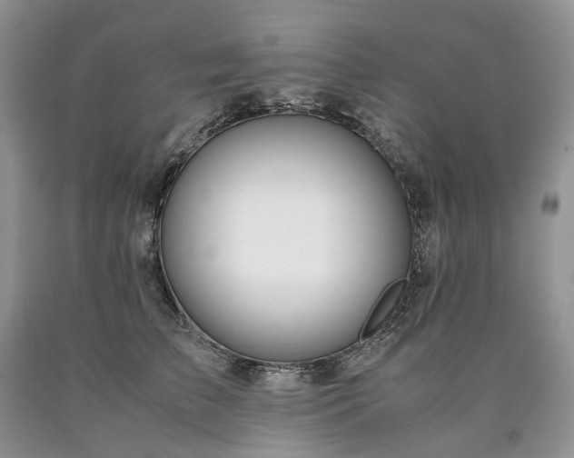 X0000090470709200707201354