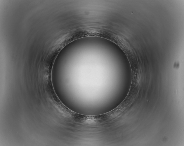 X0000090470710200707201354