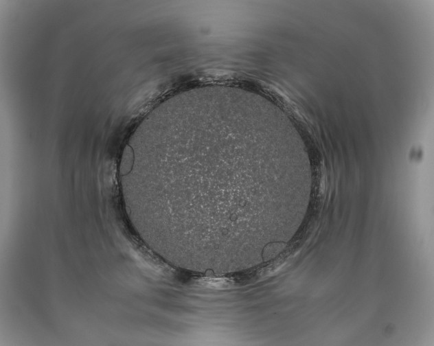 X0000090470711200707201354