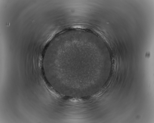 X0000090470712200707201354
