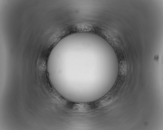 X0000090470713200707201354