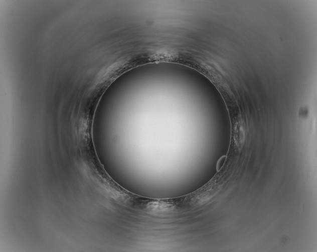 X0000090470714200707201354