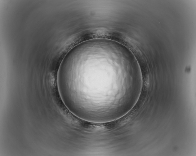 X0000090470715200707201354