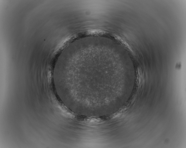 X0000090470716200707201354
