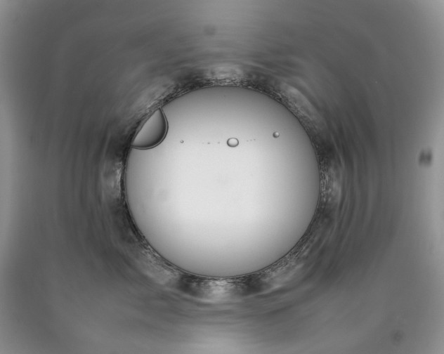 X0000090470717200707201354