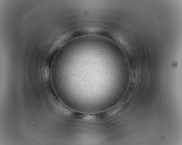 X0000090470718200707201354