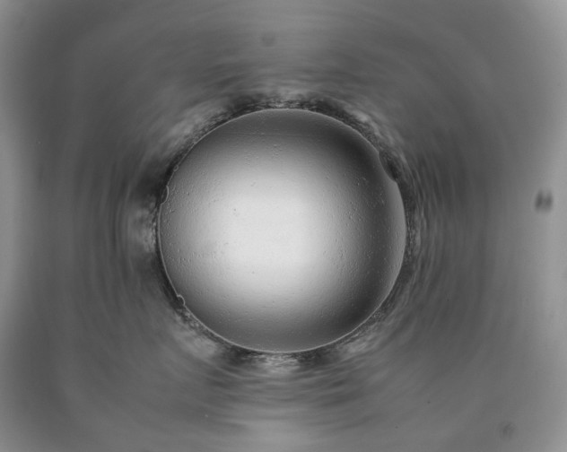 X0000090470719200707201354