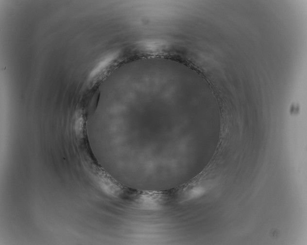 X0000090470720200707201354
