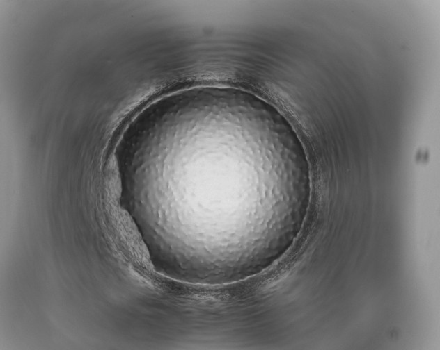 X0000090470721200707201353