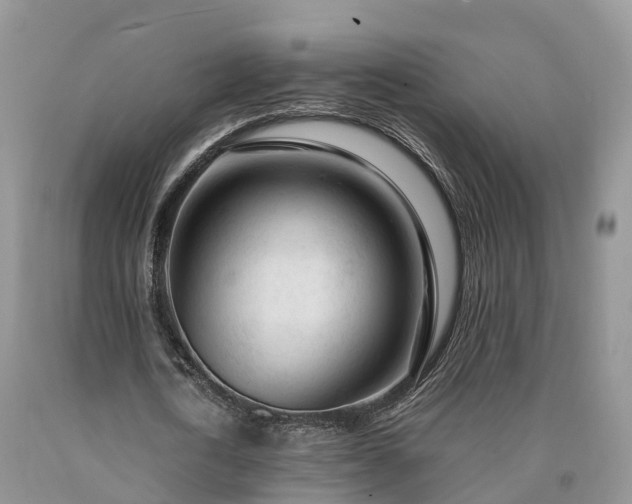 X0000090470722200707201354