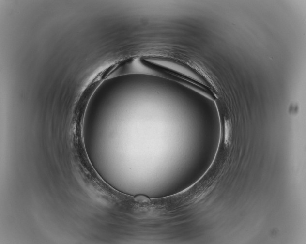 X0000090470723200707201354