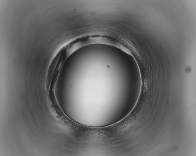X0000090470724200707201354