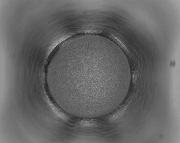 X0000090470725200707201354